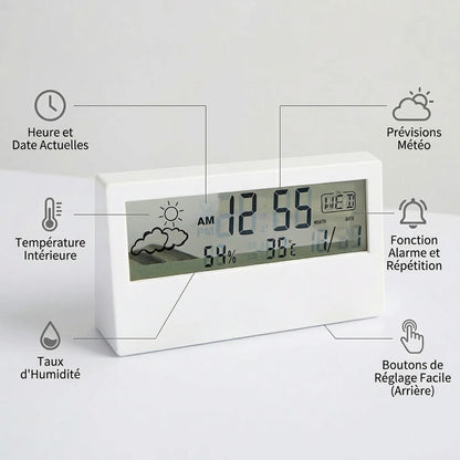 le thermomètre pour humidité